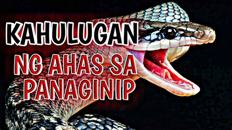 numero ng kinagat ng ahas sa panaginip|Ano ang interpretasyon ng kagat ng ahas sa panaginip ni Ibn Sirin .